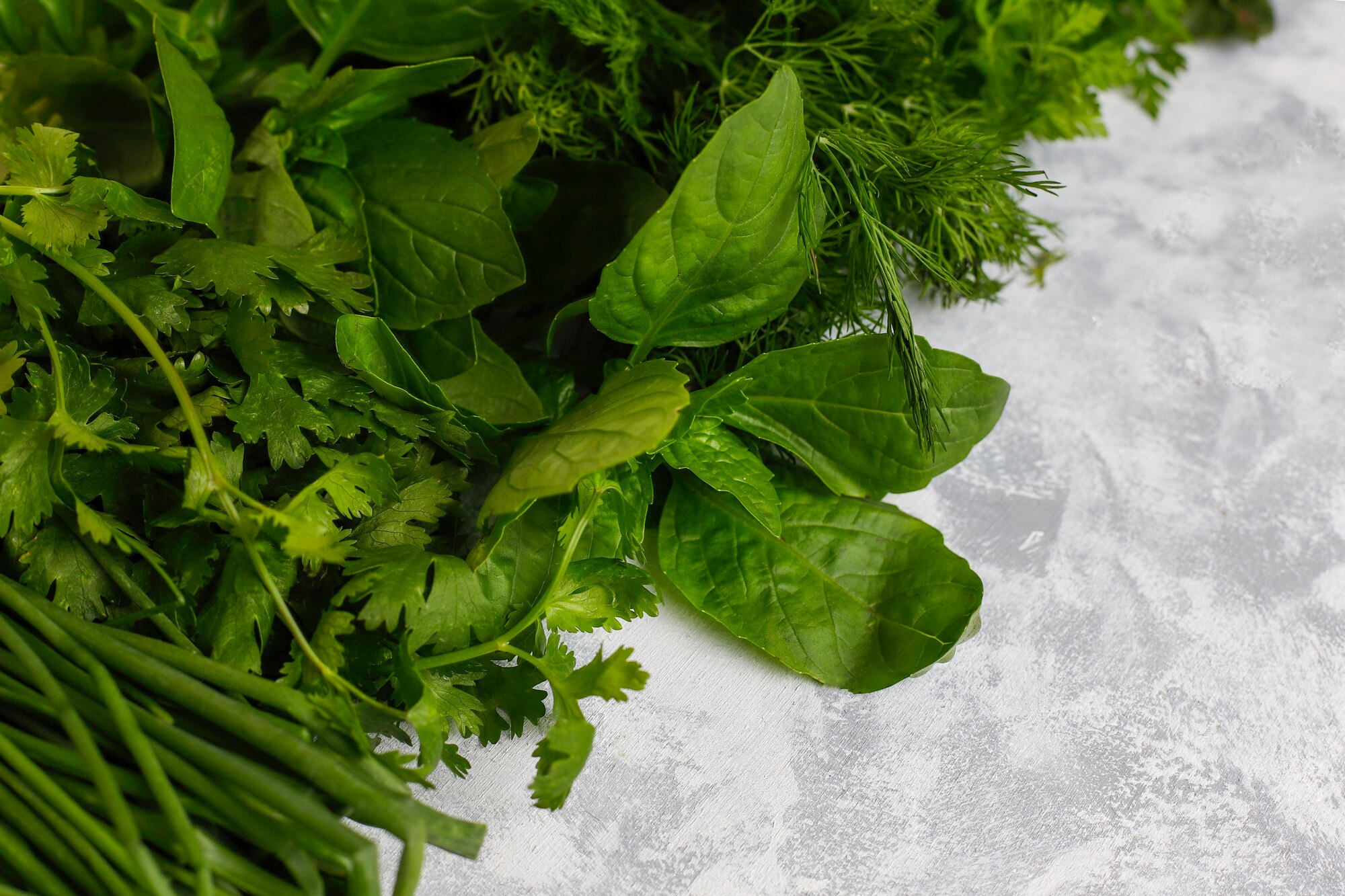 Vegetales de hoja verde